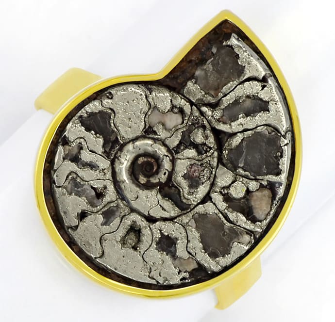 Foto 2 - Ammonit Versteinerung in Handarbeits-Goldring, S5421